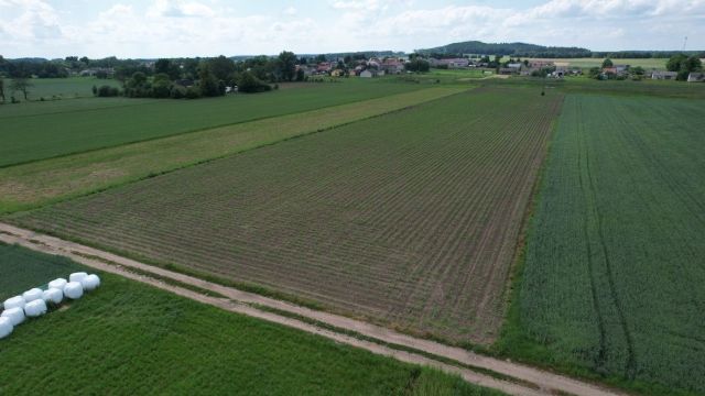 Działka rolna Rzęgnowo. Zdjęcie 1