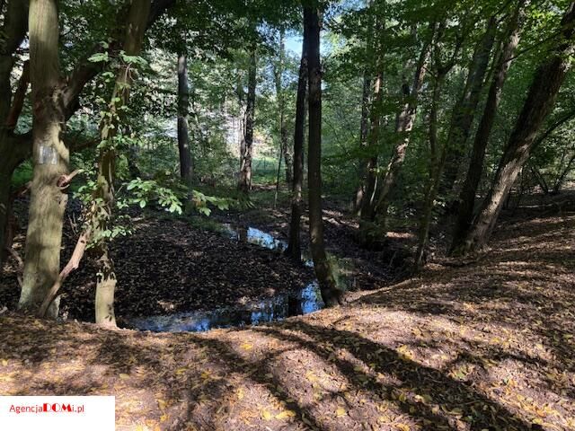 Działka budowlana Siestrzeń. Zdjęcie 15