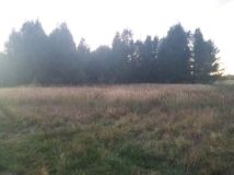 Działka rolna Jaglisko. Zdjęcie 2