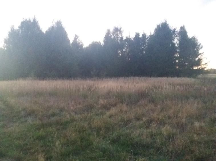 Działka rolna Jaglisko. Zdjęcie 3