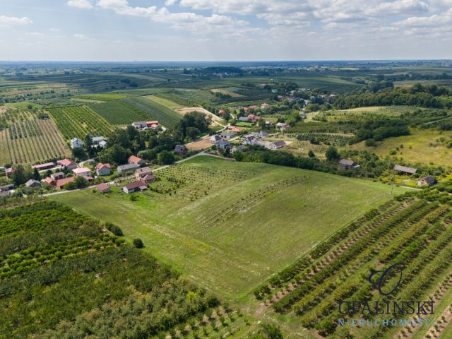 dom wolnostojący, 6 pokoi Skrzypaczowice. Zdjęcie 5