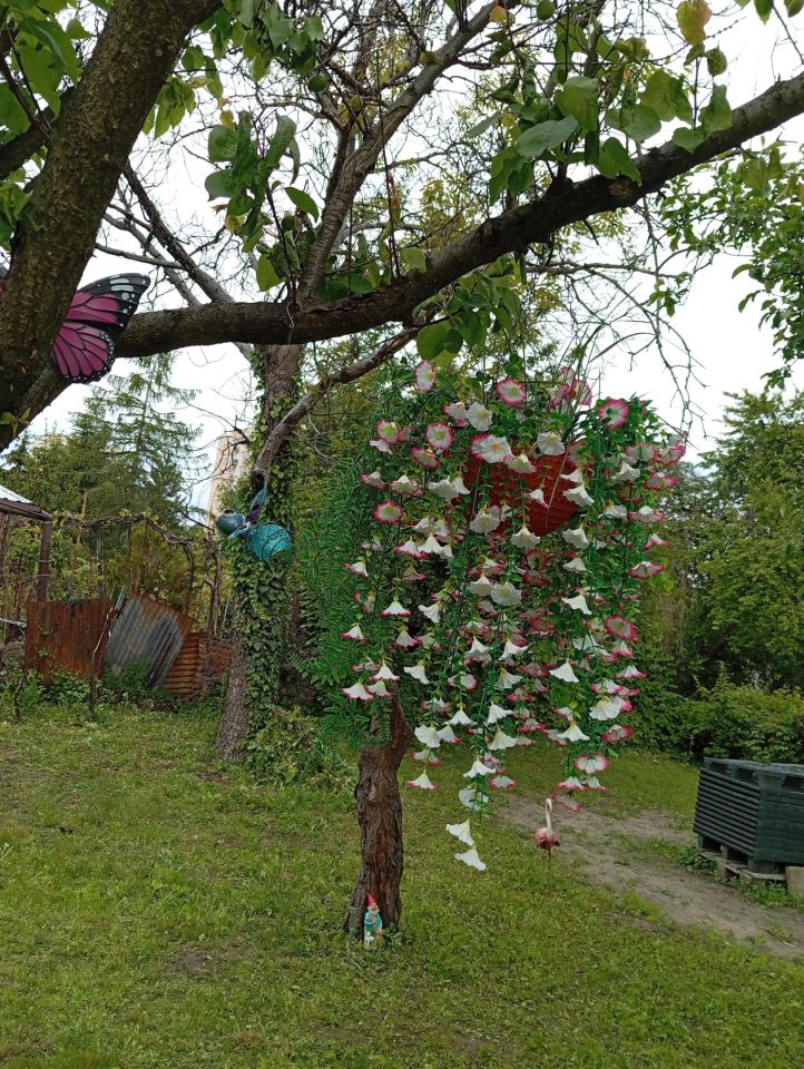 Działka rod Warszawa Mokotów, ul. Bandoski. Zdjęcie 9