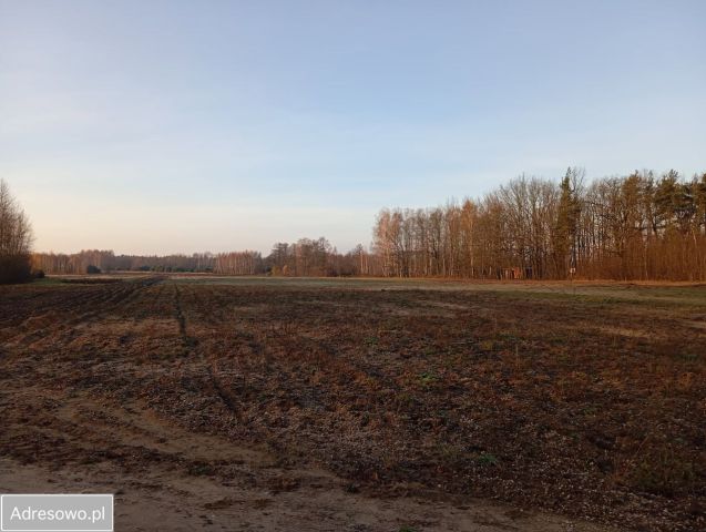Działka budowlana Jarzębia Łąka, ul. Długa. Zdjęcie 1