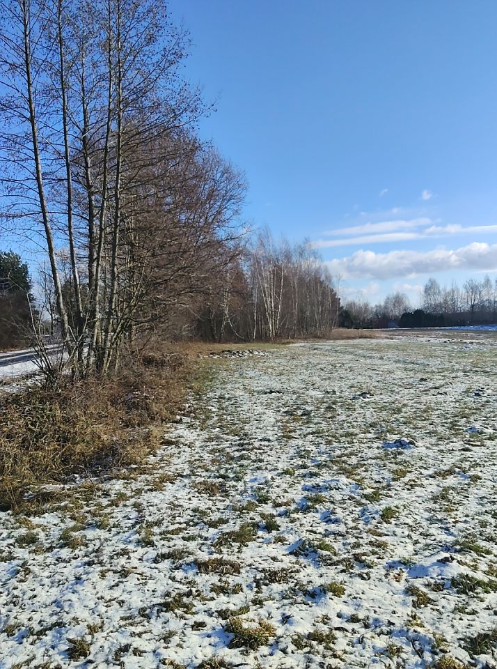 Działka budowlana Borów Nowy Borów. Zdjęcie 5