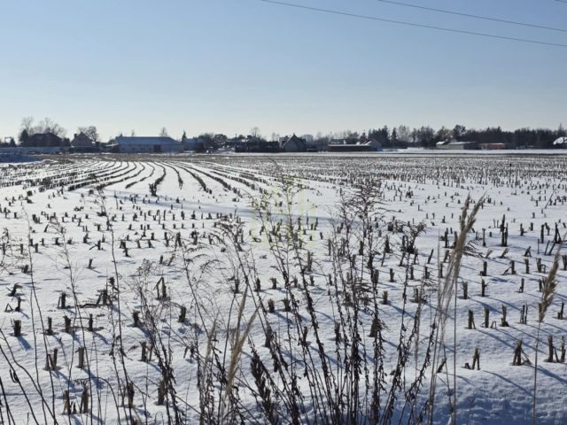 Działka inwestycyjna Błonie, ul. Sochaczewska. Zdjęcie 1