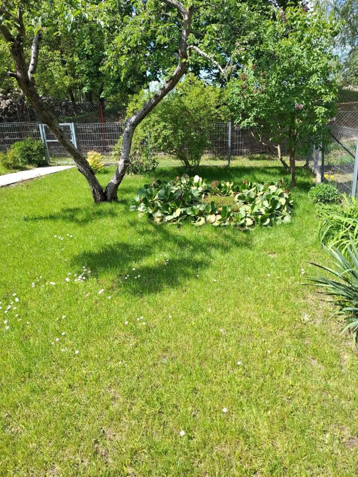 Działka rod Klebark Mały. Zdjęcie 8