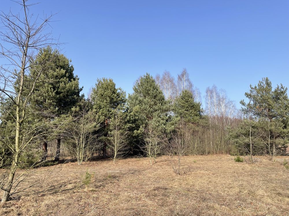 Działka budowlana Buczynów. Zdjęcie 6