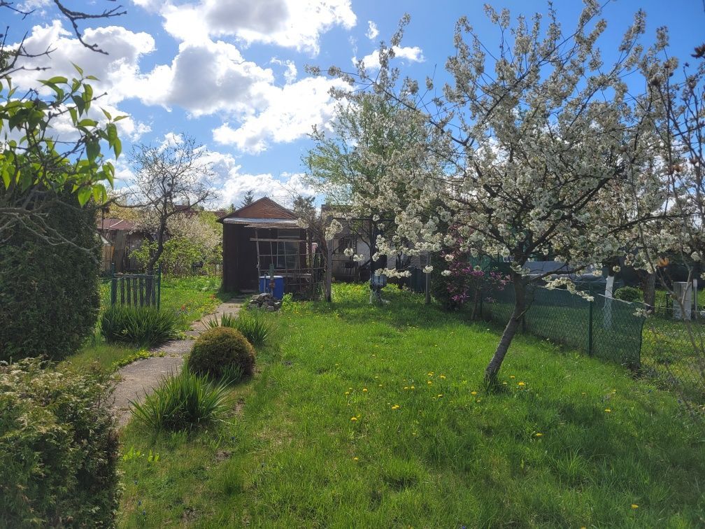Działka rod Wrocław, ul. Bezpieczna. Zdjęcie 8