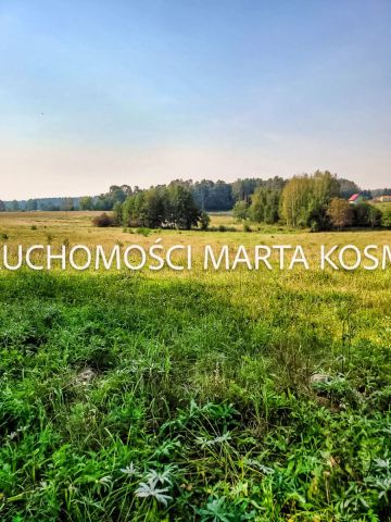 Działka rolna Wejdyki. Zdjęcie 11