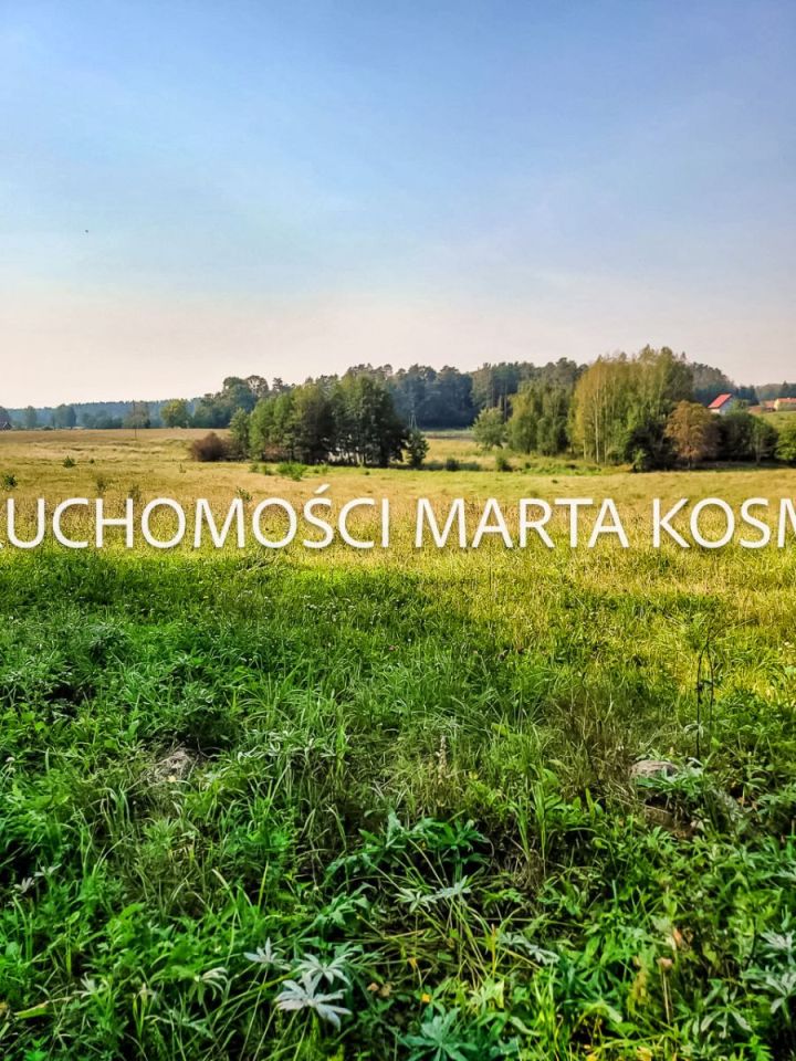 Działka rolna Wejdyki. Zdjęcie 11