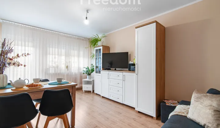 Mieszkanie 1-pokojowe Łódź Teofilów, ul. Traktorowa