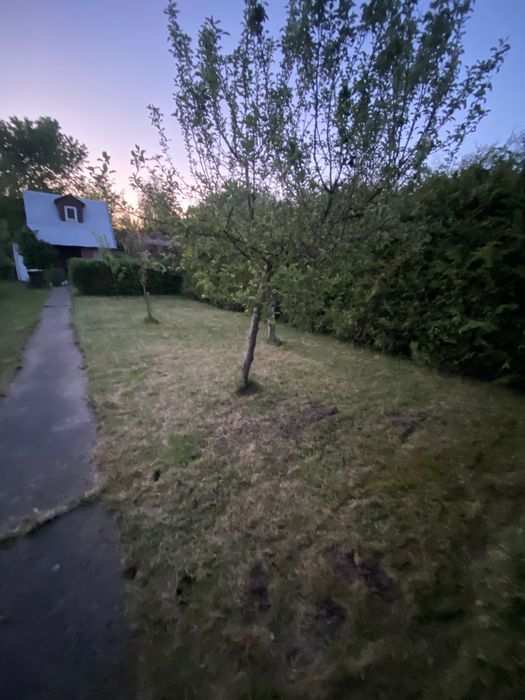 Działka rod Pisz, ul. Gdańska. Zdjęcie 5