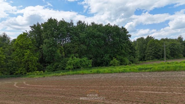 Działka rolna Czułów. Zdjęcie 5