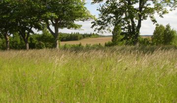 Działka budowlana Objazda, Jesionowa