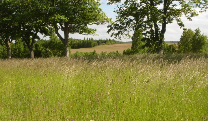 Działka budowlana Objazda