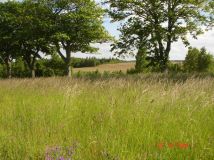 Działka budowlana Objazda, Jesionowa