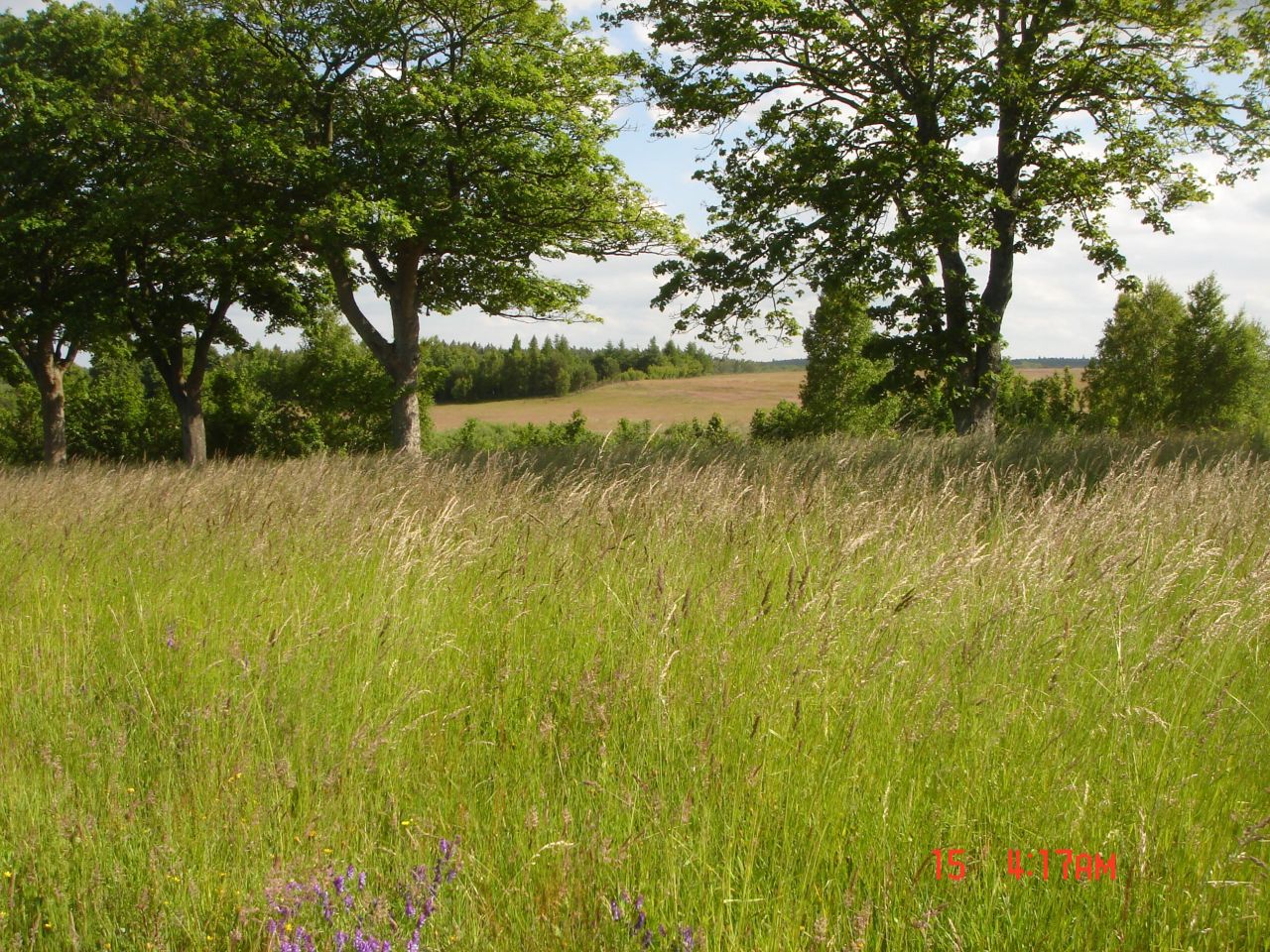 Działka budowlana Objazda, Jesionowa