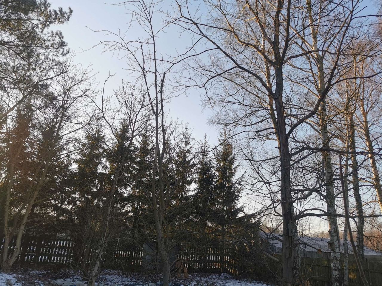 Działka inwestycyjna Złotów, ul. Brzozowa. Zdjęcie 12