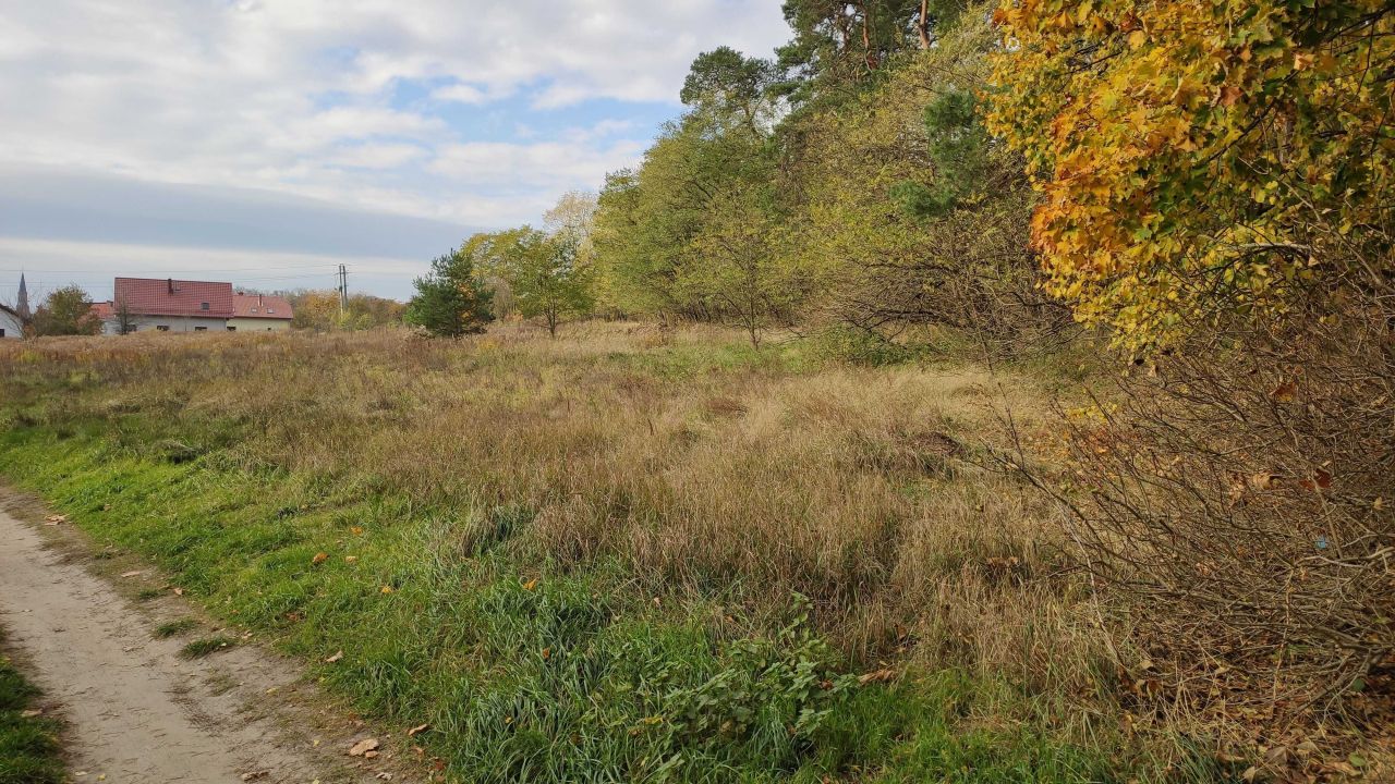 Działka rolno-budowlana Lubniewice, ul. Lawendowa. Zdjęcie 6