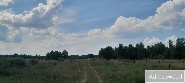 Działka budowlana Sokołówek. Zdjęcie 1