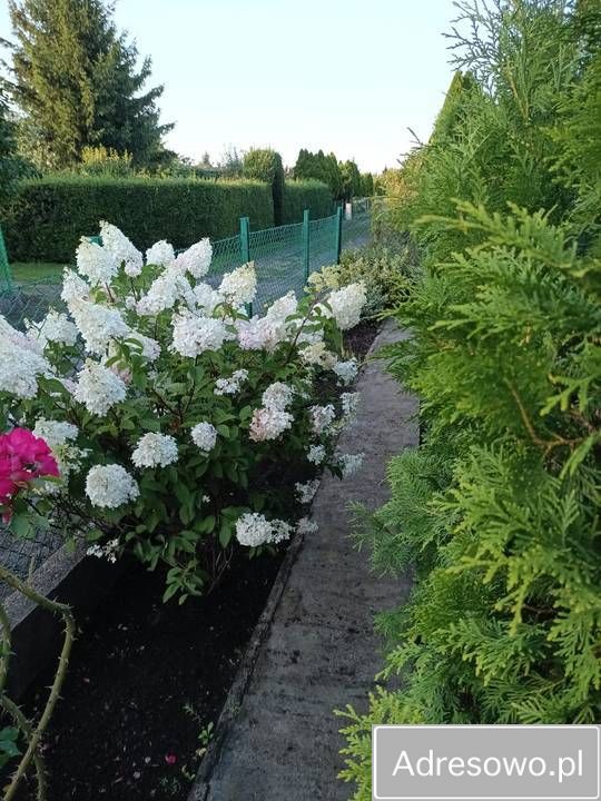 Działka rod Grudziądz Tuszewo, ul. Ludwika Waryńskiego. Zdjęcie 5