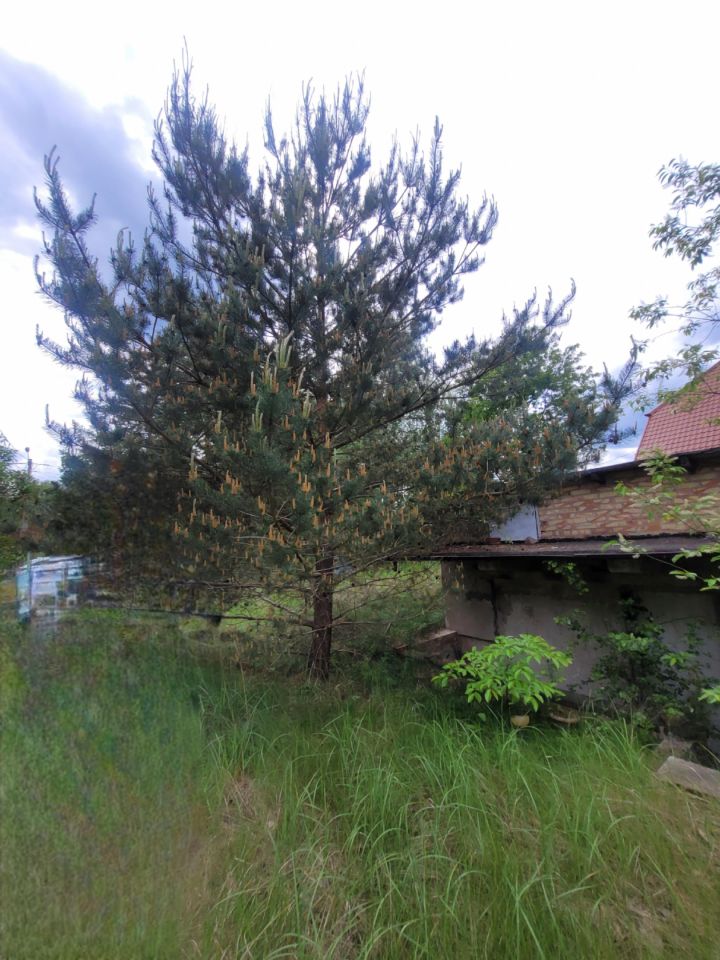 Działka rolno-budowlana Kania Nowa, ul. Serocka. Zdjęcie 3