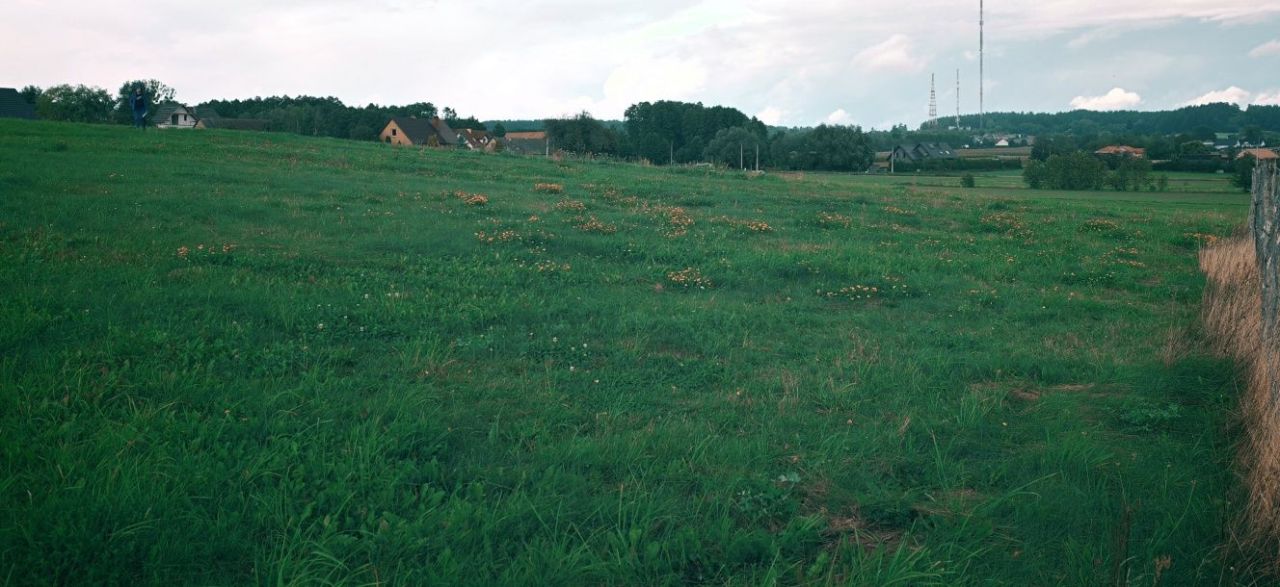 Działka rolno-budowlana Dobrzyniewo Duże, ul. Jodłowa. Zdjęcie 2