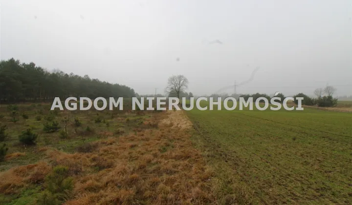 Działka budowlana Krzewie