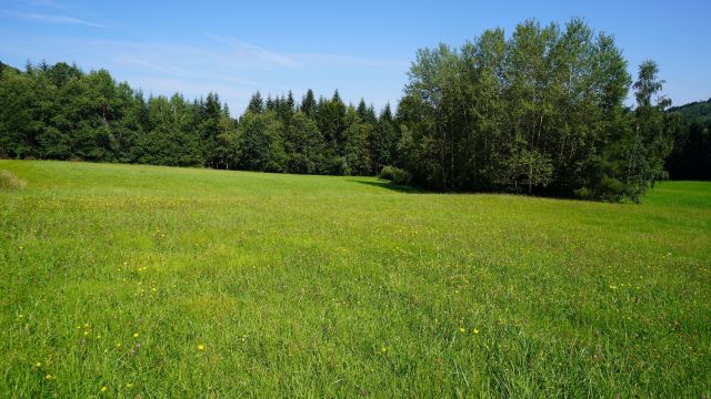 Działka rolno-budowlana Klimkówka. Zdjęcie 5