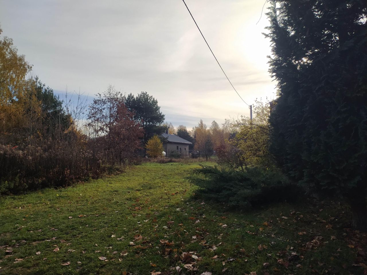 Działka rolno-budowlana Budy Michałowskie, ul. Radziejowicka. Zdjęcie 2