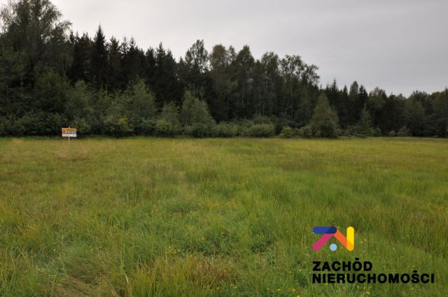 Działka budowlana Krzywczyce. Zdjęcie 1