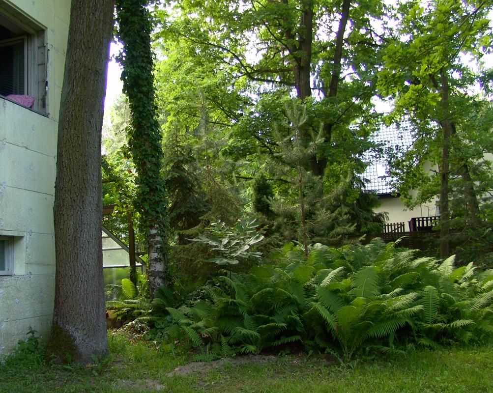 dom wolnostojący, 3 pokoje Magdalenka, ul. Piaskowa. Zdjęcie 44