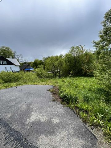 Działka rolna Ropienka Ropienka Dolna. Zdjęcie 1