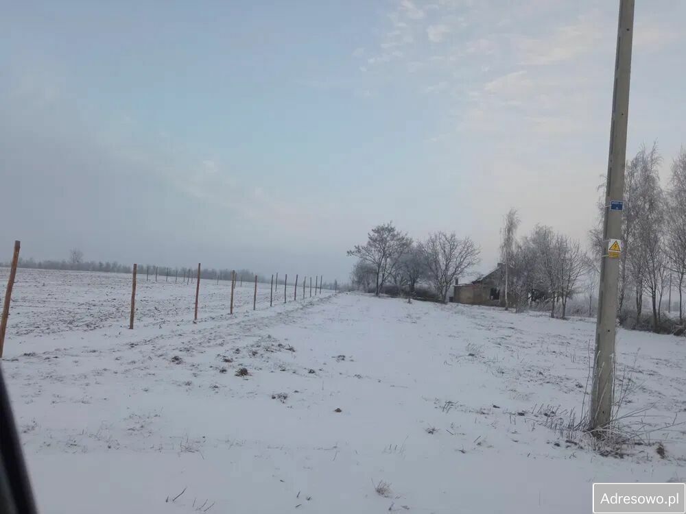 Działka siedliskowa Bachorzewo. Zdjęcie 9