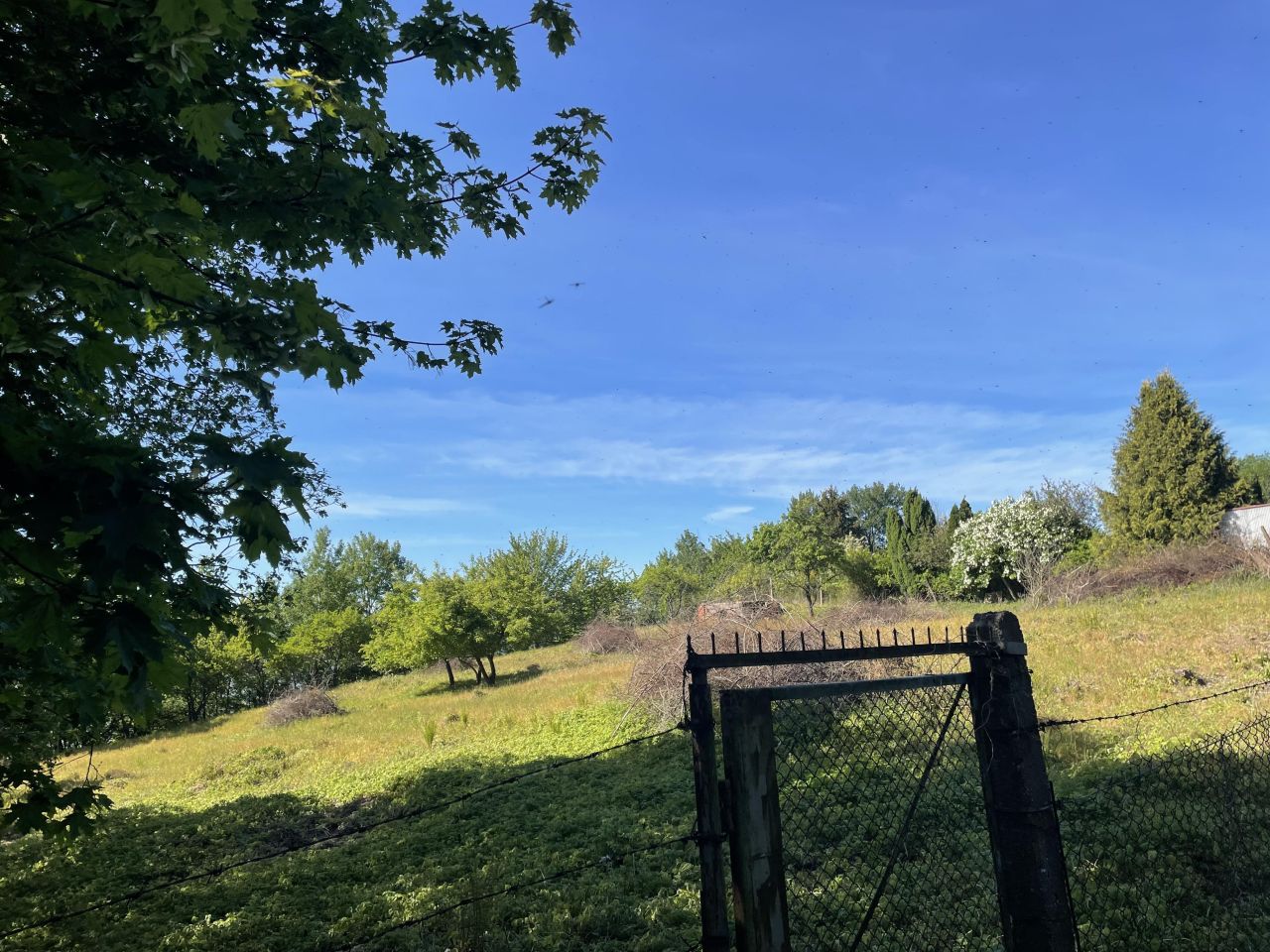 Działka rolno-budowlana Tolkmicko, ul. Morska. Zdjęcie 11