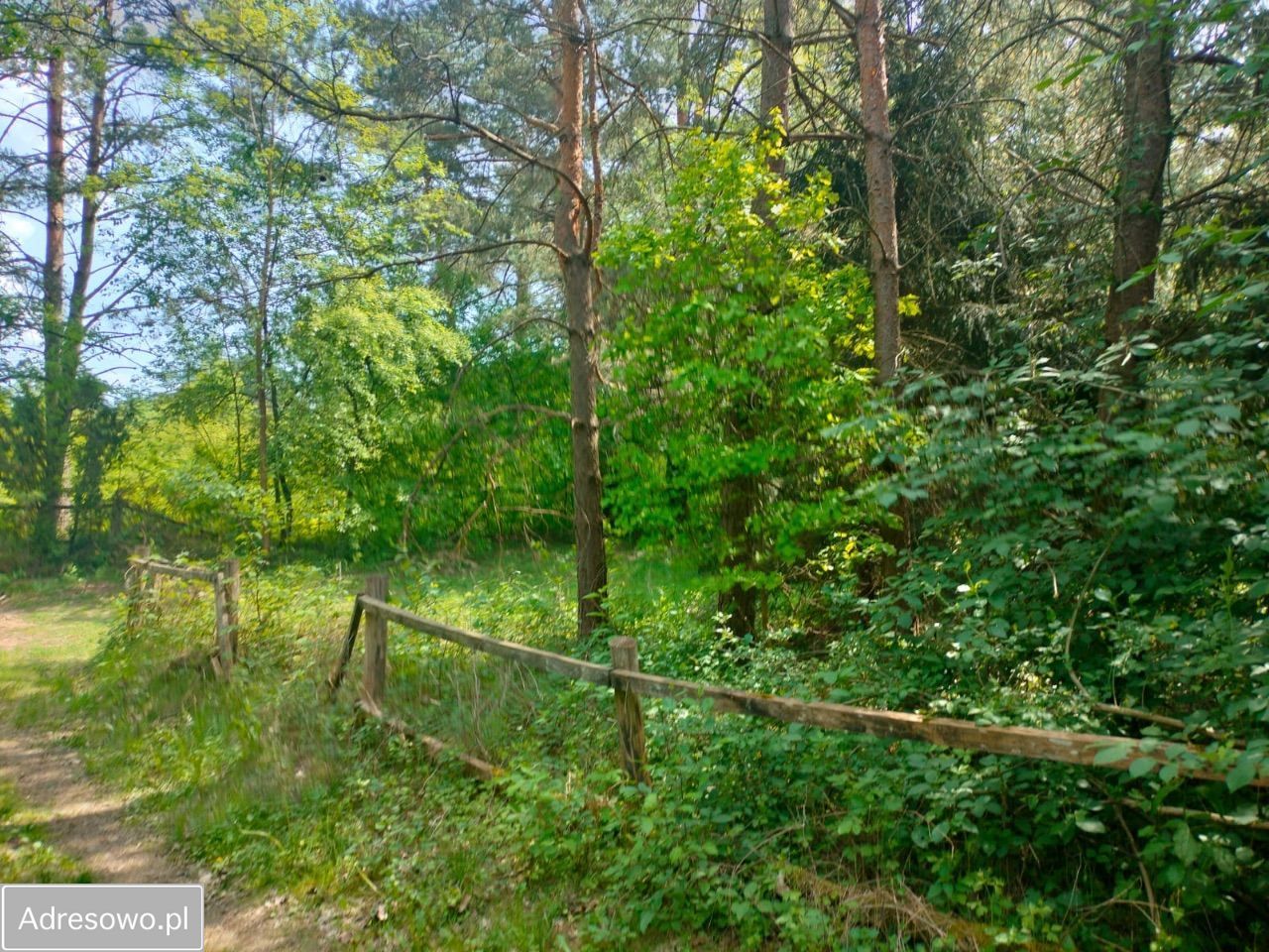 Działka rekreacyjna Nadkole. Zdjęcie 3
