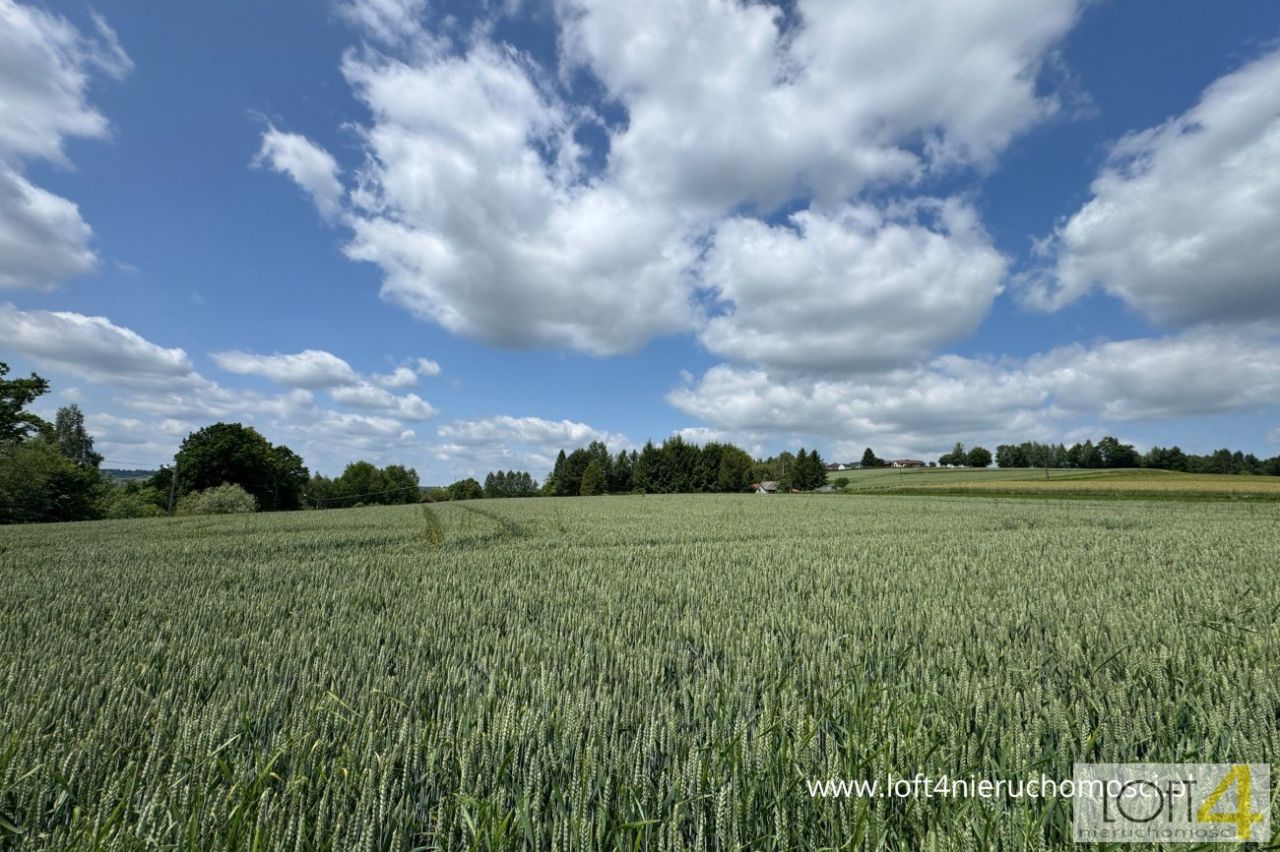 Działka budowlana Tuchów. Zdjęcie 7