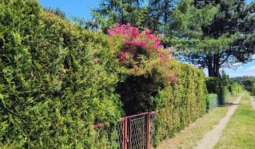 Działka rod Sosnowiec Niwka, ul. Portowa