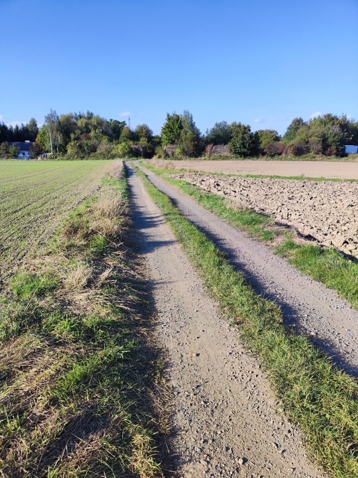 Działka budowlana Myślinów. Zdjęcie 4