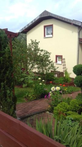 Działka rod Szczecin Golęcino, ul. Bajeczna. Zdjęcie 1