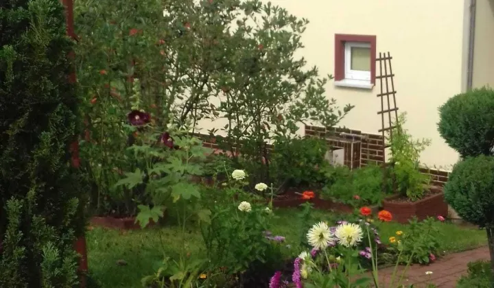 Działka rod Szczecin Golęcino, ul. Bajeczna