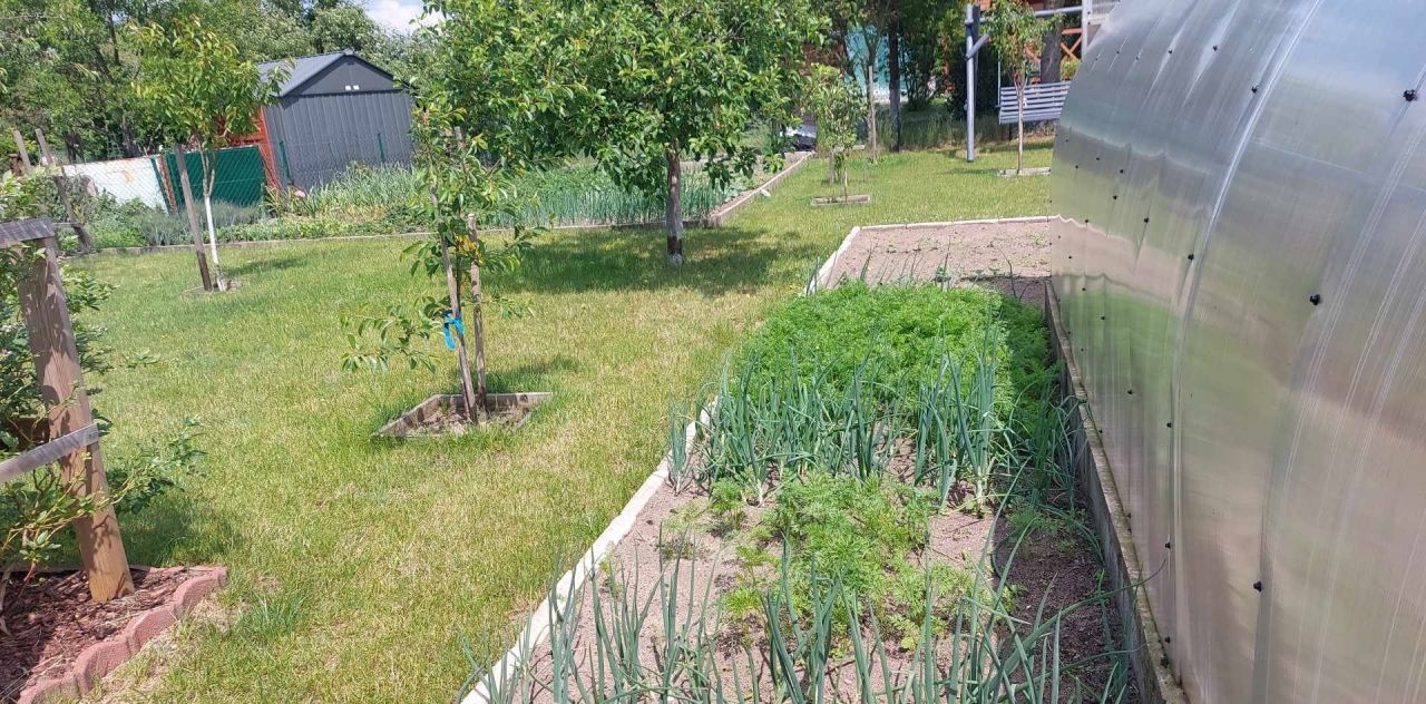 Działka rod Szczecinek, ul. Kołobrzeska. Zdjęcie 23