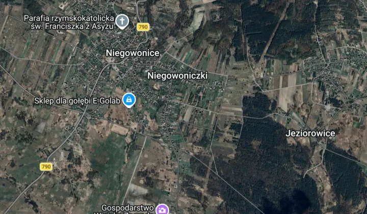 Działka leśna Niegowonice, ul. Chechelska