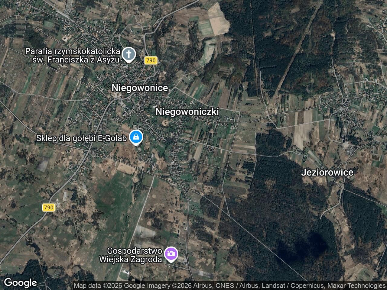 Działka leśna Niegowonice, ul. Chechelska. Zdjęcie 1