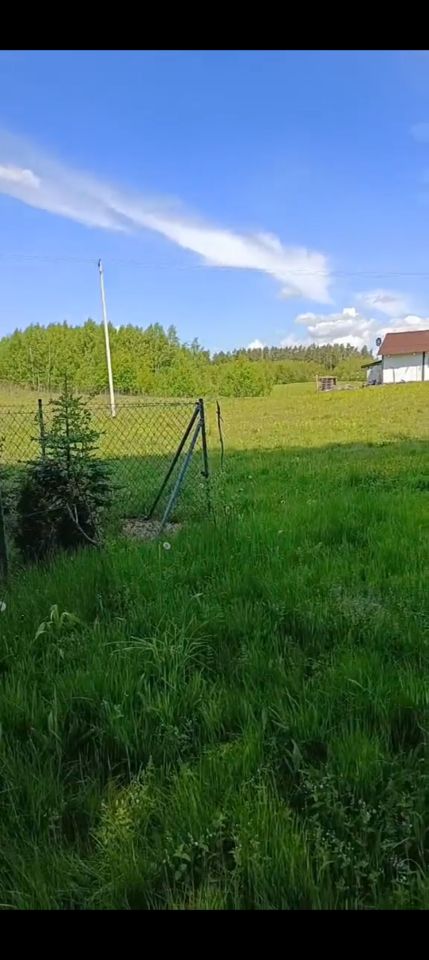 Działka rolna Ględy. Zdjęcie 2