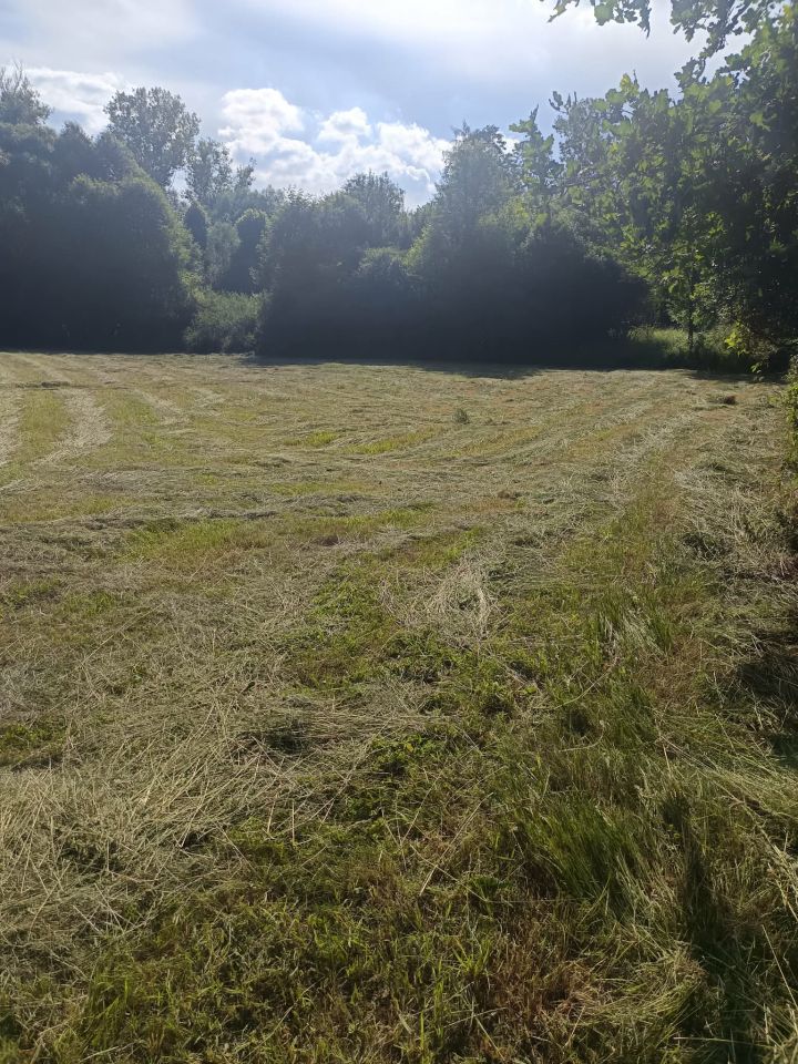 Działka budowlana Białka. Zdjęcie 2