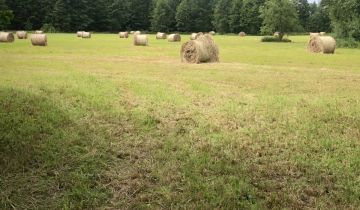 Działka rolna Krzymów, ul. Konińska