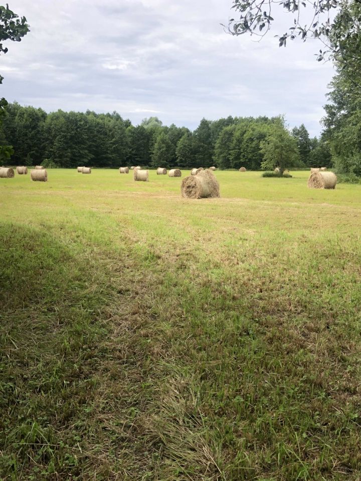 Działka rolna Krzymów, ul. Konińska. Zdjęcie 2