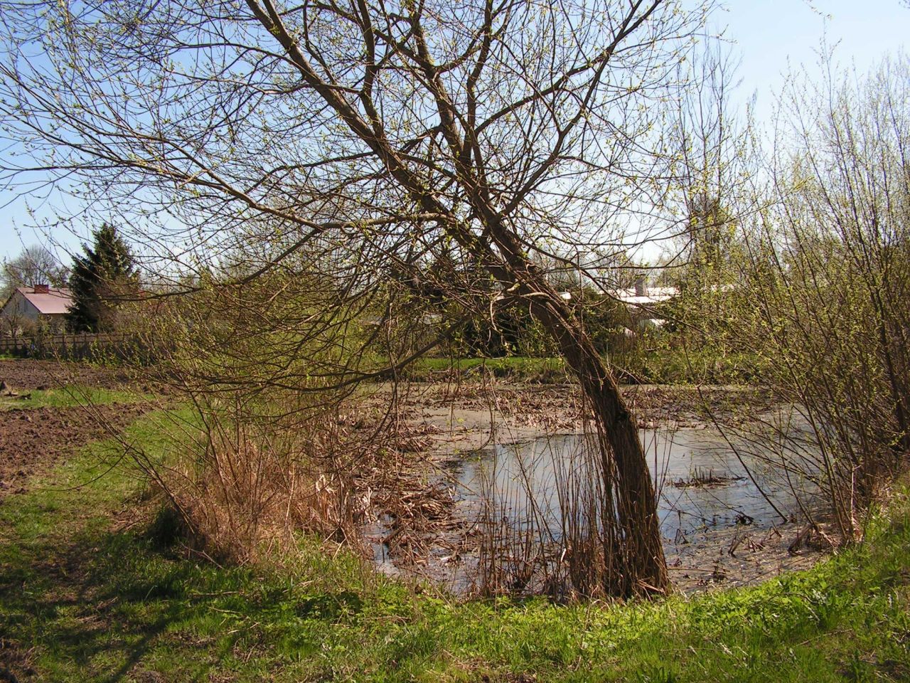 Działka inwestycyjna Bezledy. Zdjęcie 10
