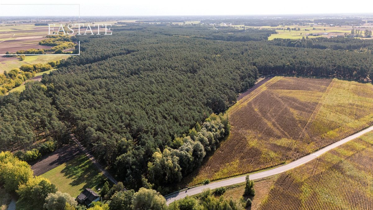 Działka leśna Maurzyce. Zdjęcie 4